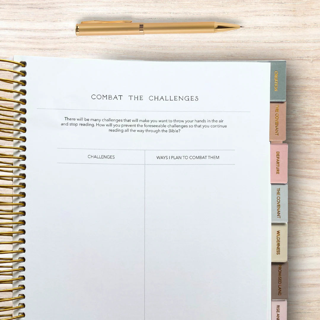 Cover to Cover Bible Journal Preorder