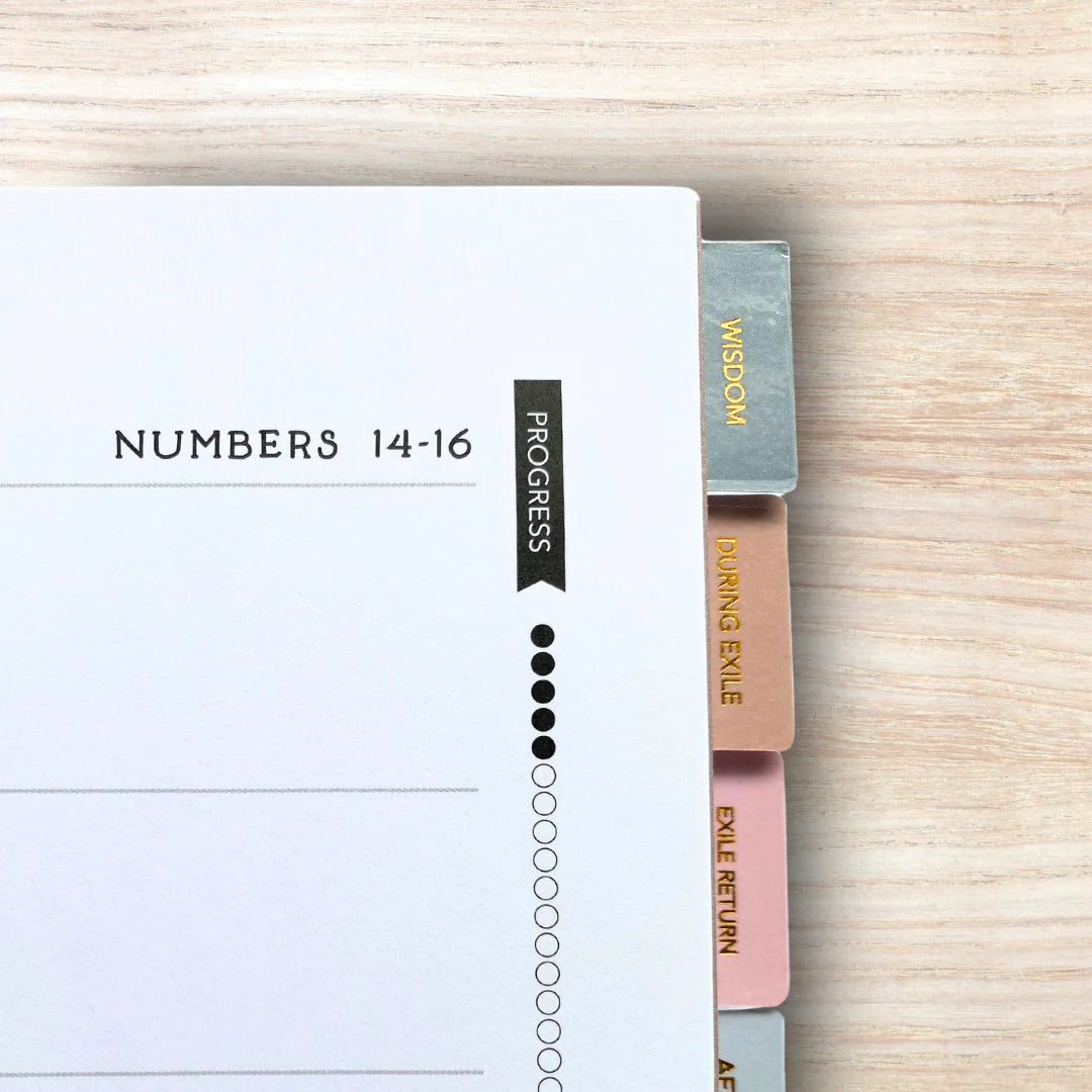 Cover to Cover Bible Journal Preorder