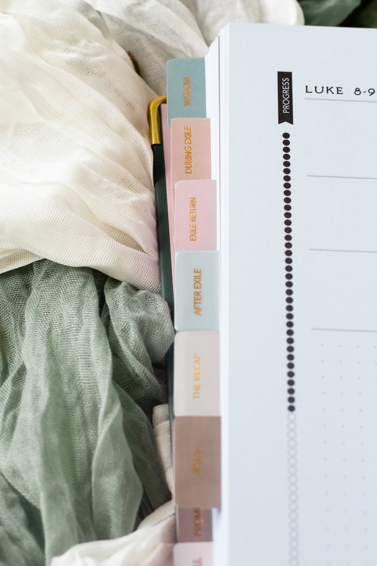 Cover to Cover Bible Journal Preorder